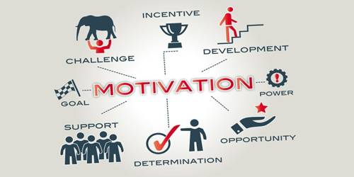 Learn about different motivation types