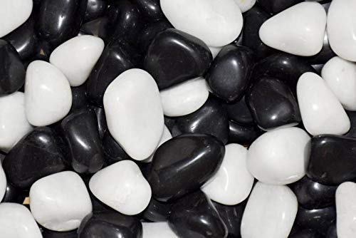 The Black & White Pebble