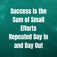 Success is the Sum of Small Efforts Repeated Day In and Day Out