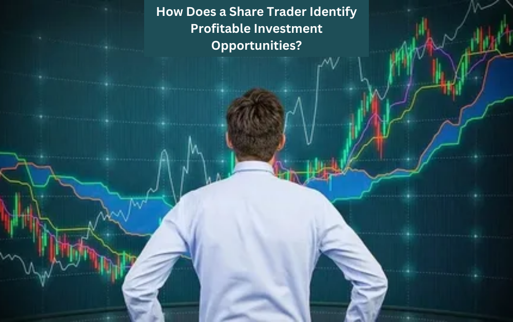 How Does a Share Trader Identify Profitable Investment Opportunities