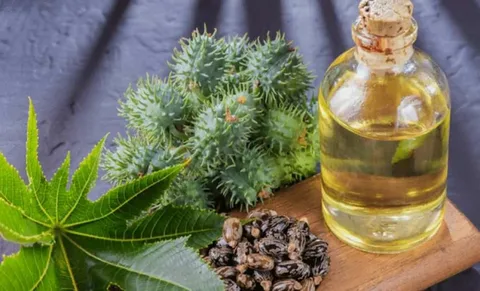 castor oil dubai