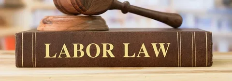 labour law in dubai