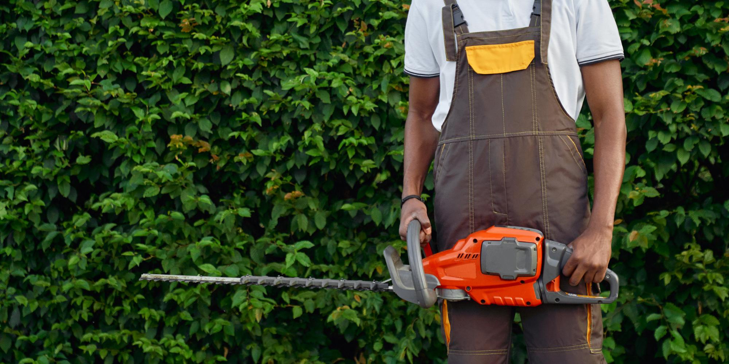 Tree Arborist vs Local Arborist Services How to Choose the Right Expert