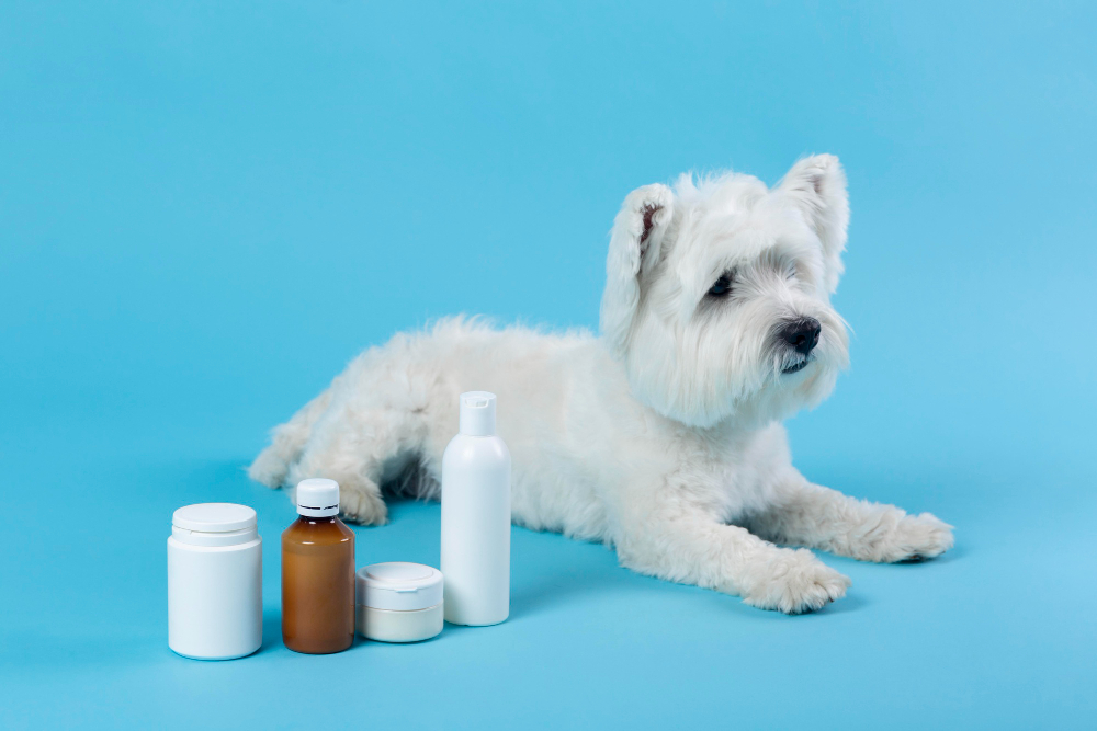 dog coat supplement