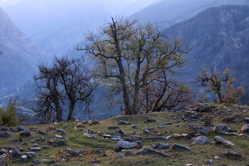 Pangarchulla Peak Trek