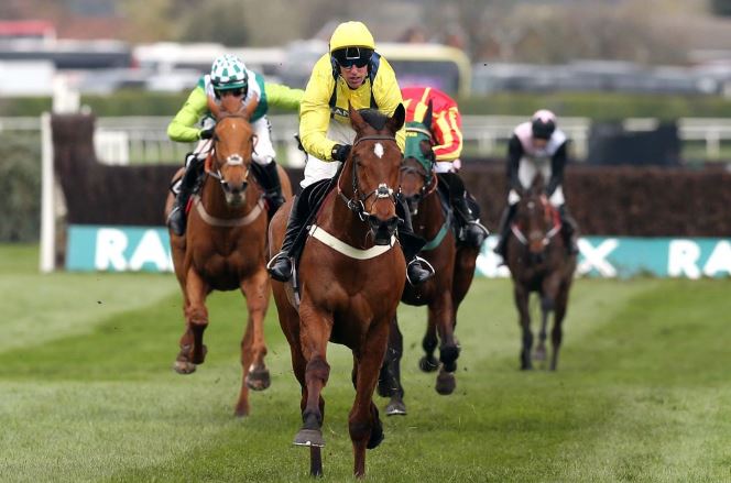 horse Racing tips