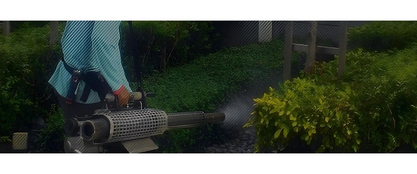 pest control
