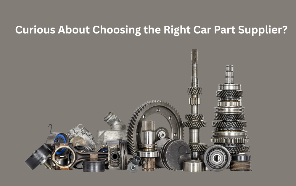 Curious About Choosing the Right Car Part Supplier?