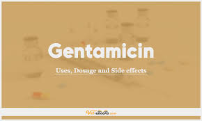 Gentamicin for Cats: Uses and Side Effects