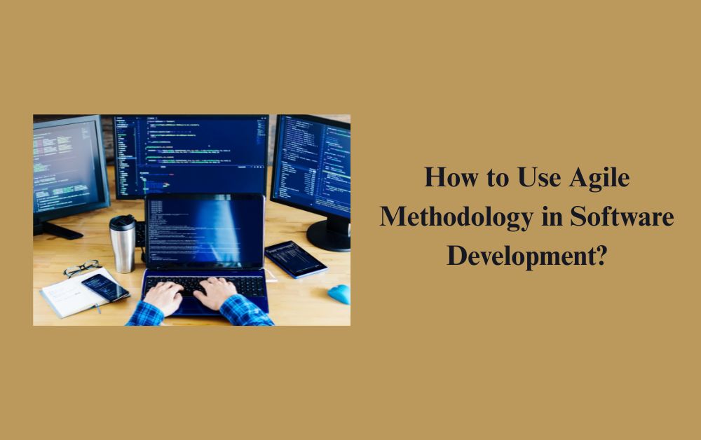 Software Development Company In Navi Mumbai