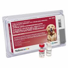 Neovac Vaccine for Dogs: Essential Protection