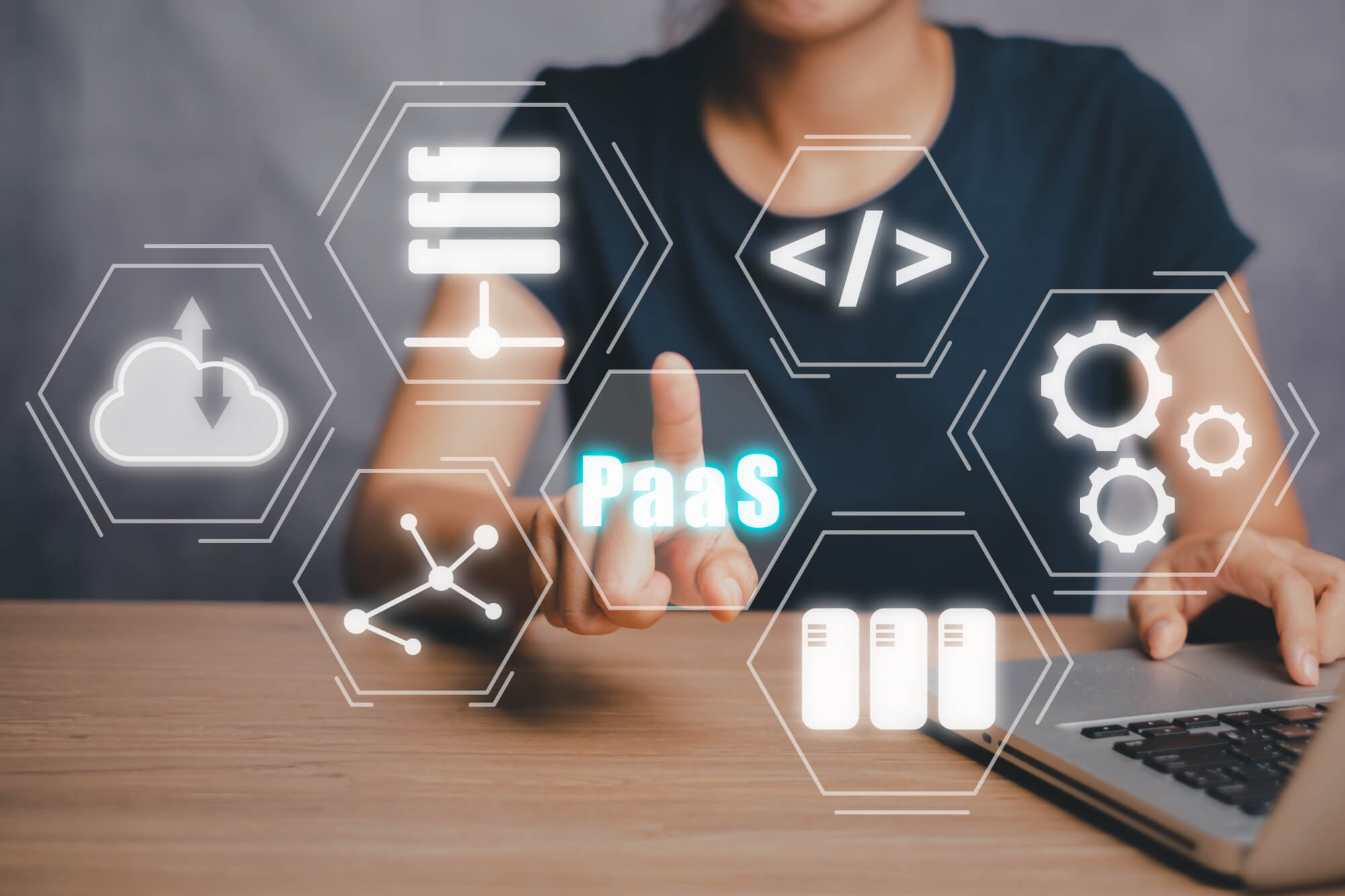 Software Development Services