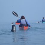 kayaking north wales
