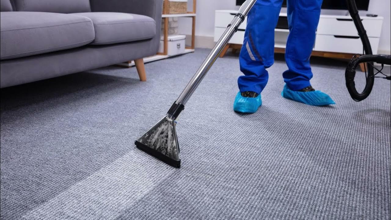 carpet shampooing services