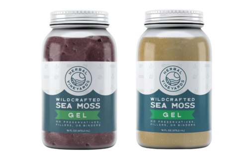 Why Sea Moss Gel is the Wellness Trend You Can’t Afford to Ignore