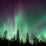 nature photography tour
